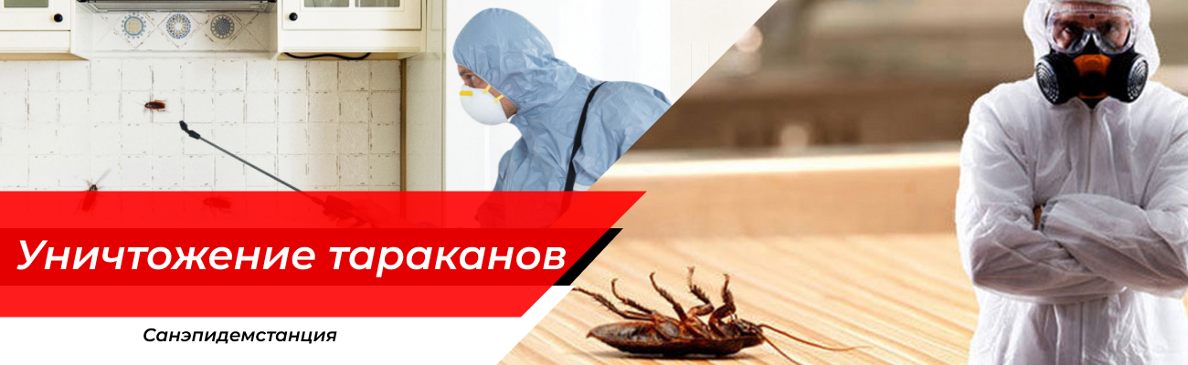 Уничтожение тараканов Ликино-Дулёво